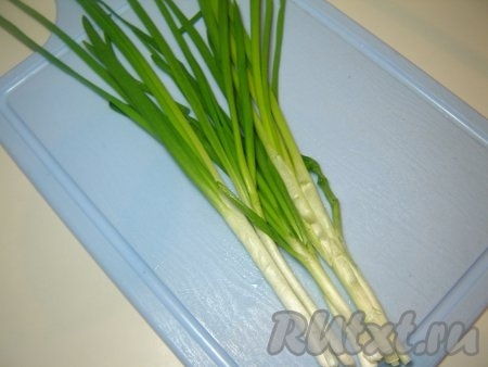 Зеленый лук для салата
