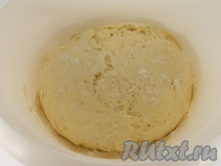 Тесто поместить в миску, смазать его растительным маслом (если тесто не смазать маслом - оно подсохнет) и накрыть миску полотенцем. Оставить тесто в тёплом месте для подхода на 20-30 минут (тесто вырастет в объёме раза в 2-3).