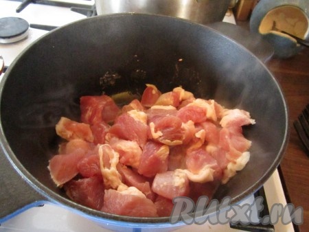 Мясо нарежьте на кусочки и обжарьте на сале в кастрюле.