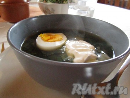 Лёгкий овощной супчик с крапивой и щавелем готов! Дайте ему настояться минут 5-10 - и можно пробовать! Подавайте суп с крутым яйцом и сметаной.