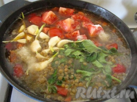 Добавить к овощам и чечевице томаты, чеснок, пряные травы. Посолить похлёбку по вкусу (я положила 2,5 чайные ложки соли).
