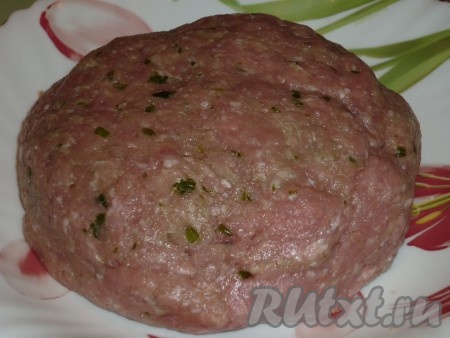 Мясо, лук и чеснок пропустить через мясорубку. Зелень мелко порезать и добавить к мясу. Посолить и поперчить по вкусу. 
