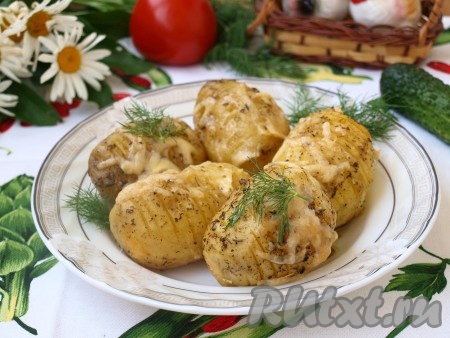 Ароматную и вкусную картошку с надрезами, запечённую в духовке с сыром, подавать горячей со свежими овощами или в качестве гарнира к мясу, птице или рыбе.