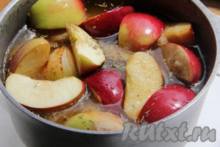В казан сложить обжаренного гуся, обжаренный лук и яблоки, нарезанные дольками. Добавить тимьян и розмарин. Для соуса смешать сок, коньяк и воду, залить соусом гуся. 
