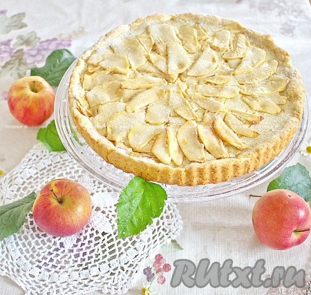 Пирог с творогом, сметаной и яблоками