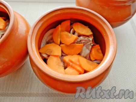 Добавить нарезанную полукольцами морковь, влить немного воды или бульона (примерно по 2-3 столовые ложки).
