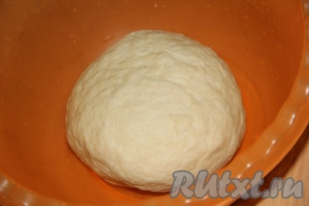  Переложить тесто в смазанную оливковым маслом миску, накрыть полотенцем и оставить в тепле на 1,5-2 часа.