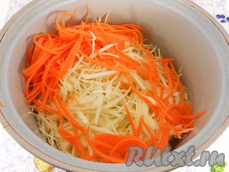 Очистить лук, свеклу, морковь и чеснок. Капусту тонко нарезать, морковку натереть на тёрке для корейской моркови, переложить в глубокую миску.