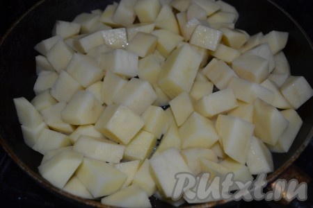 Тыквенный горшочек и срезанную верхушку поставьте в разогретую духовку на 30-40 минут при температуре 180 градусов. Очищенный картофель крупно порежьте и  слегка обжарьте, помешивая, на растительном масле.