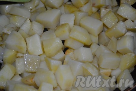 Очищенный картофель крупно порежьте и слегка обжарьте, помешивая, на растительном масле.