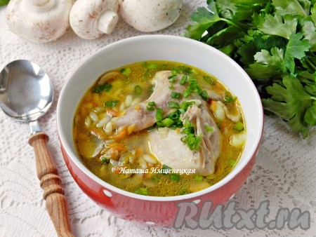 Вкусный и ароматный суп из перепелов готов.