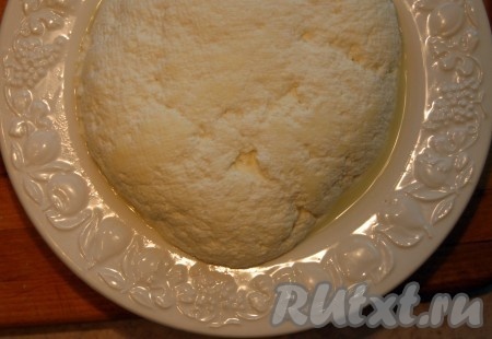Берем блюдо или тарелку и выкладываем наш адыгейский сыр, формируя его форму на свой вкус.