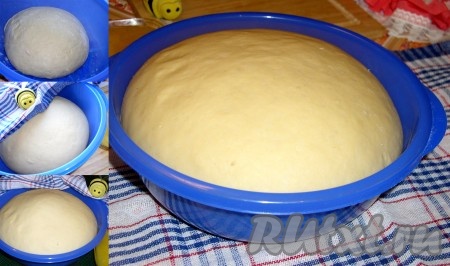 Колобок теста накрыть салфеткой и оставить в теплом месте на расстойку на 1,5-2,5 часа. За это время тесто нужно будет 2 раза обмять.
