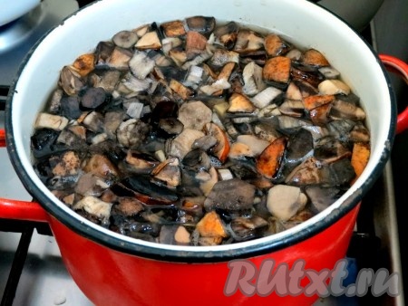 Когда картофель закипит, добавляем к нему грибы и фасоль, продолжаем варить суп минут 20.
