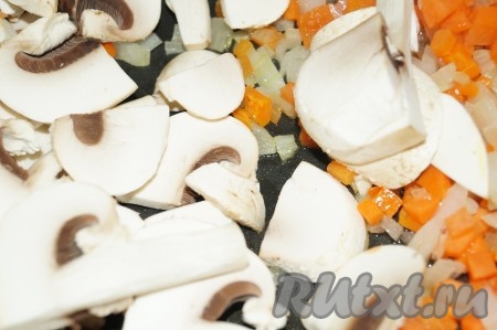 Грибы вымыть, нарезать на тонкие пластиночки и добавить к зажарке из моркови и лука, готовить минут 10, изредка помешивая.  Добавить зажарку вариться в суп.
