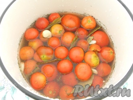 Уложить таким образом все помидоры. В литре воды растворить соль и залить рассолом помидоры. Сверху поместить лавровый лист.