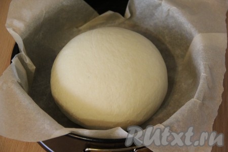 Из теста сформировать колобок и выложить его на пергамент. Прикрыть тесто полотенцем и поставить в тёплое место на 2 часа.