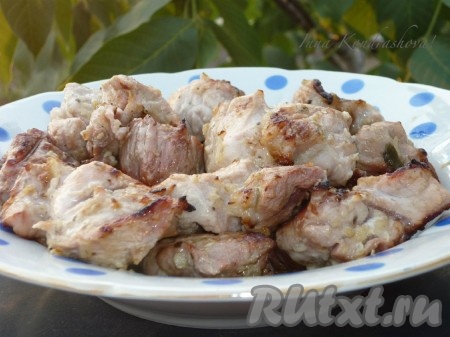 Рецепт шашлыка из свинины в кефире