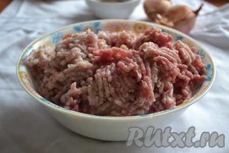 Мякоть свинины и очищенный репчатый лук пропускаем через мясорубку, солим, перчим и тщательно перемешиваем. Начинка для чебуреков готова.
