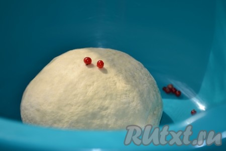 Замесить эластичное тесто. Накрыть тесто для равиоли полотенцем и дать отдохнуть 20 минут.
