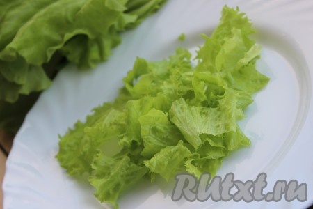 Салатные листья промыть, обсушить, порвать руками на небольшие кусочки. Выложить листья салата на плоское блюдо.
