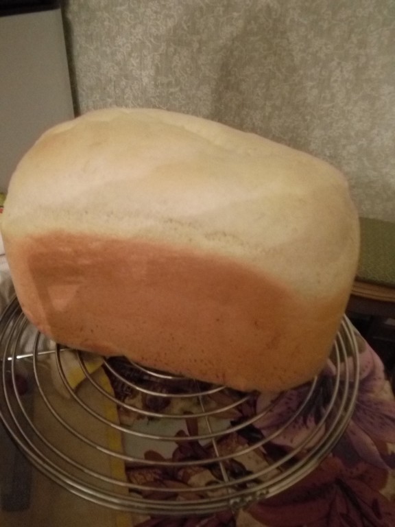 Что такое Колобок в хлебопечке. Хлебопечка Polaris. Как выглядит Колобок в хлебопечке. Вид правильного колобка в хлебопечке. Рецепты чебуреков в хлебопечке