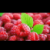 Фото пользователя