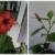 Фото пользователя