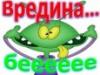 Фото пользователя