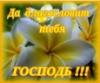 Фото пользователя