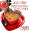 Фото пользователя