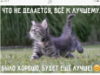 Фото пользователя
